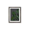Picture of Vein Leaves I _GroupedProduct_Rectangle_Portrait_Framed_Matted_