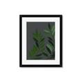 Picture of Vein Leaves I _GroupedProduct_Rectangle_Portrait_Framed_Matted_