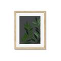 Picture of Vein Leaves I _GroupedProduct_Rectangle_Portrait_Framed_Matted_