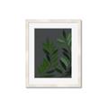 Picture of Vein Leaves I _GroupedProduct_Rectangle_Portrait_Framed_Matted_