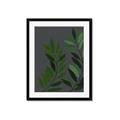 Picture of Vein Leaves I _GroupedProduct_Rectangle_Portrait_Framed_Matted_
