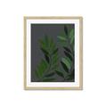 Picture of Vein Leaves I _GroupedProduct_Rectangle_Portrait_Framed_Matted_