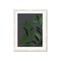 Picture of Vein Leaves I _GroupedProduct_Rectangle_Portrait_Framed_Matted_