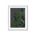 Picture of Vein Leaves I _GroupedProduct_Rectangle_Portrait_Framed_Matted_