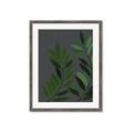 Picture of Vein Leaves I _GroupedProduct_Rectangle_Portrait_Framed_Matted_