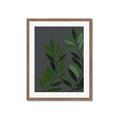 Picture of Vein Leaves I _GroupedProduct_Rectangle_Portrait_Framed_Matted_