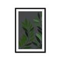 Picture of Vein Leaves I _GroupedProduct_Rectangle_Portrait_Framed_Matted_