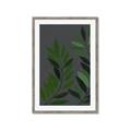 Picture of Vein Leaves I _GroupedProduct_Rectangle_Portrait_Framed_Matted_