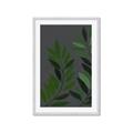 Picture of Vein Leaves I _GroupedProduct_Rectangle_Portrait_Framed_Matted_