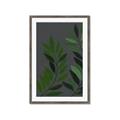Picture of Vein Leaves I _GroupedProduct_Rectangle_Portrait_Framed_Matted_