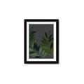 Picture of Vein Leaves II _GroupedProduct_Rectangle_Portrait_Framed_Matted_