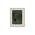 Picture of Vein Leaves II _GroupedProduct_Rectangle_Portrait_Framed_Matted_