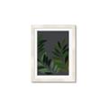 Picture of Vein Leaves II _GroupedProduct_Rectangle_Portrait_Framed_Matted_