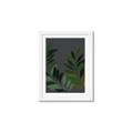 Picture of Vein Leaves II _GroupedProduct_Rectangle_Portrait_Framed_Matted_