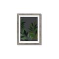 Picture of Vein Leaves II _GroupedProduct_Rectangle_Portrait_Framed_Matted_