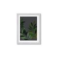 Picture of Vein Leaves II _GroupedProduct_Rectangle_Portrait_Framed_Matted_