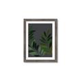 Picture of Vein Leaves II _GroupedProduct_Rectangle_Portrait_Framed_Matted_