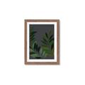 Picture of Vein Leaves II _GroupedProduct_Rectangle_Portrait_Framed_Matted_