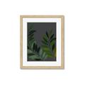 Picture of Vein Leaves II _GroupedProduct_Rectangle_Portrait_Framed_Matted_