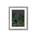 Picture of Vein Leaves II _GroupedProduct_Rectangle_Portrait_Framed_Matted_