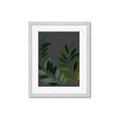 Picture of Vein Leaves II _GroupedProduct_Rectangle_Portrait_Framed_Matted_