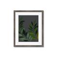 Picture of Vein Leaves II _GroupedProduct_Rectangle_Portrait_Framed_Matted_