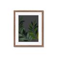 Picture of Vein Leaves II _GroupedProduct_Rectangle_Portrait_Framed_Matted_