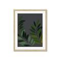 Picture of Vein Leaves II _GroupedProduct_Rectangle_Portrait_Framed_Matted_