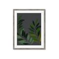 Picture of Vein Leaves II _GroupedProduct_Rectangle_Portrait_Framed_Matted_