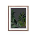 Picture of Vein Leaves II _GroupedProduct_Rectangle_Portrait_Framed_Matted_