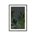 Picture of Vein Leaves II _GroupedProduct_Rectangle_Portrait_Framed_Matted_