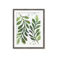 Picture of Vein Leaves III _GroupedProduct_Rectangle_Portrait_Framed_Matted_