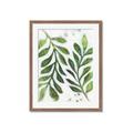 Picture of Vein Leaves III _GroupedProduct_Rectangle_Portrait_Framed_Matted_