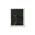 Picture of Tropical Palm Leaves I _GroupedProduct_Rectangle_Portrait_Framed_Matted_