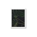 Picture of Tropical Palm Leaves I _GroupedProduct_Rectangle_Portrait_Framed_Matted_