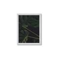 Picture of Tropical Palm Leaves I _GroupedProduct_Rectangle_Portrait_Framed_Matted_