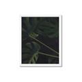 Picture of Tropical Palm Leaves I _GroupedProduct_Rectangle_Portrait_Framed_Matted_