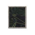 Picture of Tropical Palm Leaves I _GroupedProduct_Rectangle_Portrait_Framed_Matted_