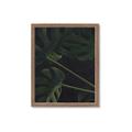 Picture of Tropical Palm Leaves I _GroupedProduct_Rectangle_Portrait_Framed_Matted_