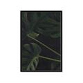 Picture of Tropical Palm Leaves I _GroupedProduct_Rectangle_Portrait_Framed_Matted_