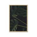 Picture of Tropical Palm Leaves I _GroupedProduct_Rectangle_Portrait_Framed_Matted_