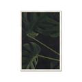Picture of Tropical Palm Leaves I _GroupedProduct_Rectangle_Portrait_Framed_Matted_