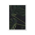 Picture of Tropical Palm Leaves I _GroupedProduct_Rectangle_Portrait_Framed_Matted_