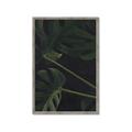 Picture of Tropical Palm Leaves I _GroupedProduct_Rectangle_Portrait_Framed_Matted_