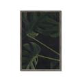 Picture of Tropical Palm Leaves I _GroupedProduct_Rectangle_Portrait_Framed_Matted_
