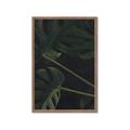 Picture of Tropical Palm Leaves I _GroupedProduct_Rectangle_Portrait_Framed_Matted_