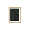 Picture of Tropical Palm Leaves I _GroupedProduct_Rectangle_Portrait_Framed_Matted_