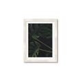 Picture of Tropical Palm Leaves I _GroupedProduct_Rectangle_Portrait_Framed_Matted_