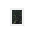 Picture of Tropical Palm Leaves I _GroupedProduct_Rectangle_Portrait_Framed_Matted_