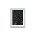 Picture of Tropical Palm Leaves I _GroupedProduct_Rectangle_Portrait_Framed_Matted_